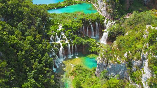  chiapas total  